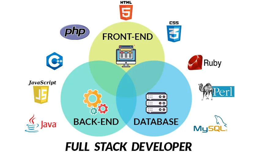 Frontend, Backend, Full-stack, DevOps